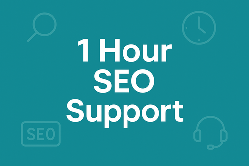1 Hour SEO Support product image